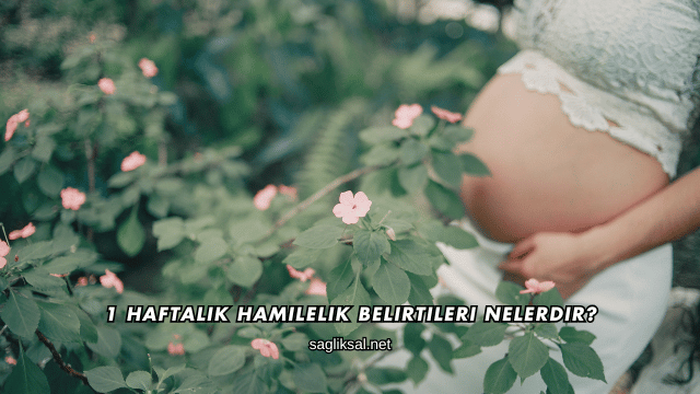 1 Haftalık Hamilelik Belirtileri Nelerdir?