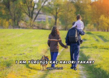 1 Km Yürüyüş Kaç Kalori Yakar?