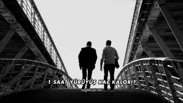 1 Saat Yürüyüş Kaç Kalori?