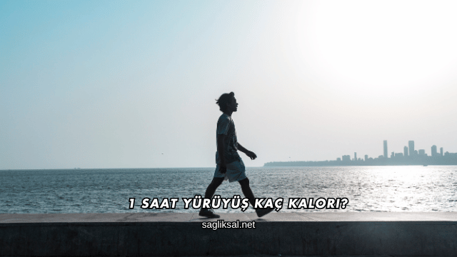 1 Saat Yürüyüş Kaç Kalori?