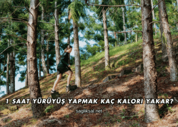 1 Saat Yürüyüş Yapmak Kaç Kalori Yakar?