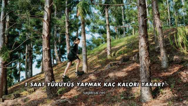 1 Saat Yürüyüş Yapmak Kaç Kalori Yakar?