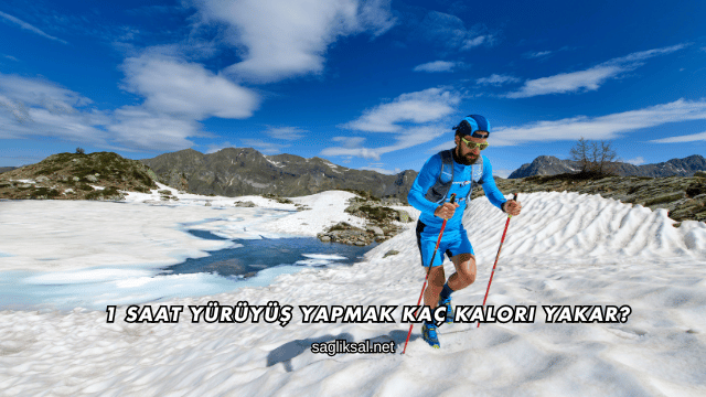 1 Saat Yürüyüş Yapmak Kaç Kalori Yakar?