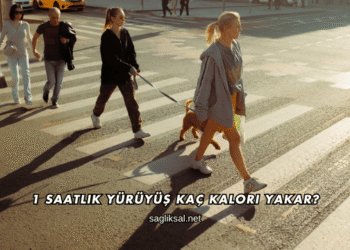 1 Saatlik Yürüyüş Kaç Kalori Yakar?