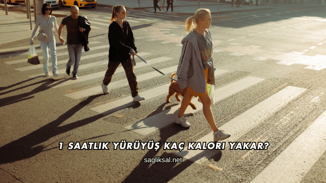 1 Saatlik Yürüyüş Kaç Kalori Yakar?