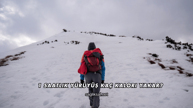 1 Saatlik Yürüyüş Kaç Kalori Yakar?