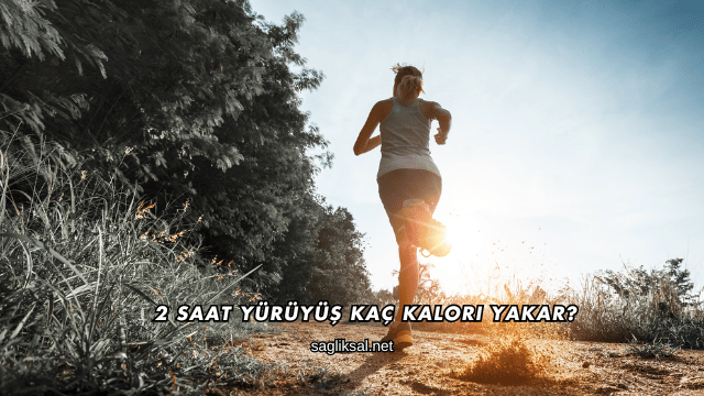 2 Saat Yürüyüş Kaç Kalori Yakar?