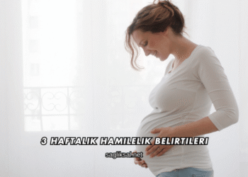 3 Haftalık Hamilelik Belirtileri