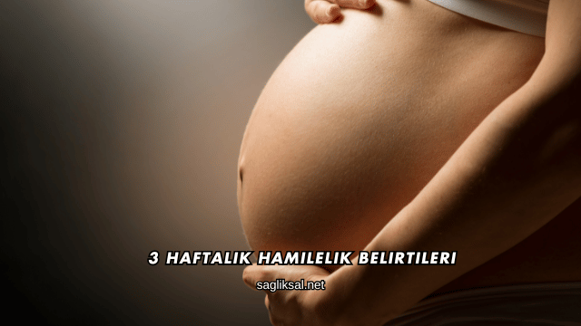 3 Haftalık Hamilelik Belirtileri