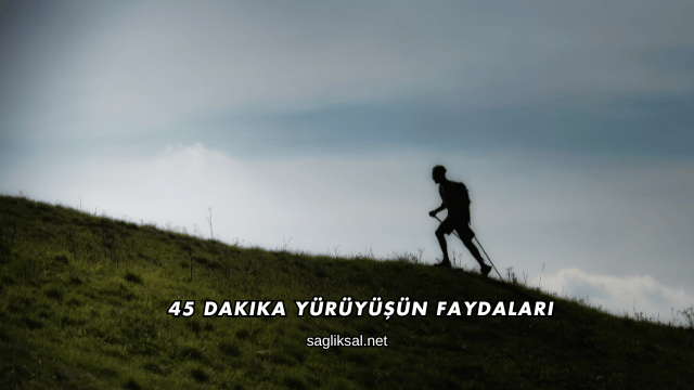 45 Dakika Yürüyüşün Faydaları