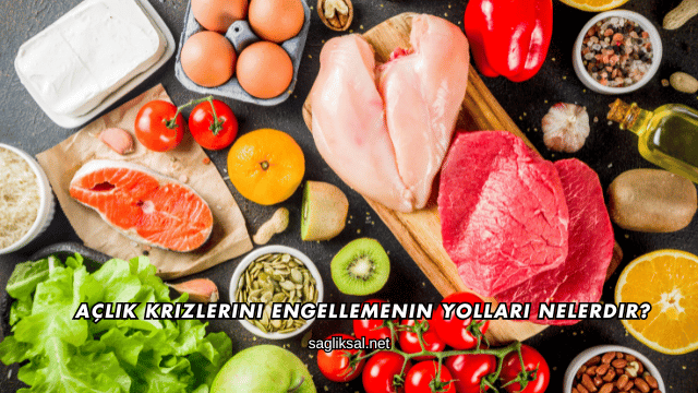 Açlık Krizlerini Engellemenin Yolları Nelerdir?