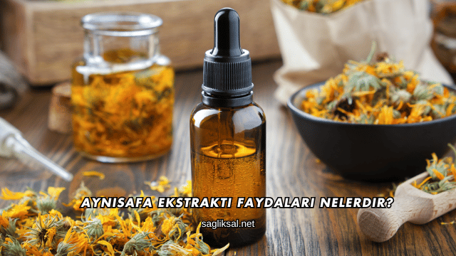Aynısafa Ekstraktı Faydaları Nelerdir?