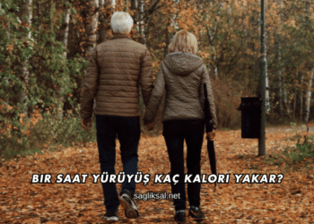 Bir Saat Yürüyüş Kaç Kalori Yakar?