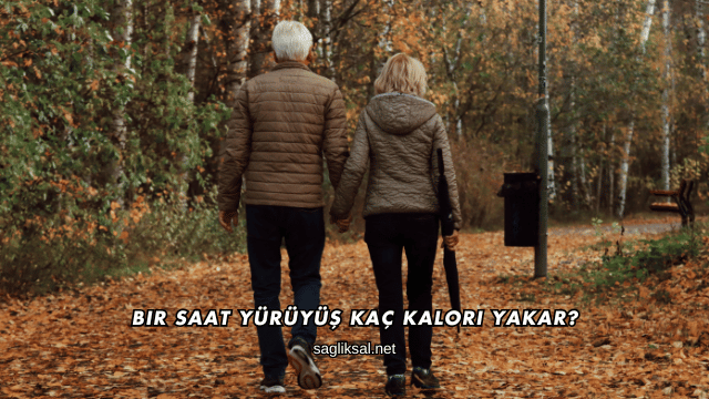 Bir Saat Yürüyüş Kaç Kalori Yakar?