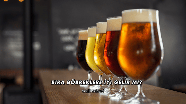 Bira Böbreklere İyi Gelir mi?
