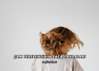 Çam Terebentinin Saça Faydaları