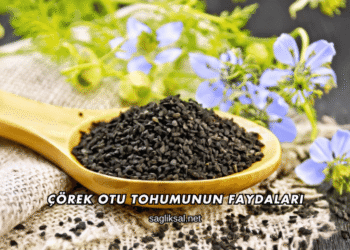 Çörek Otu Tohumunun Faydaları