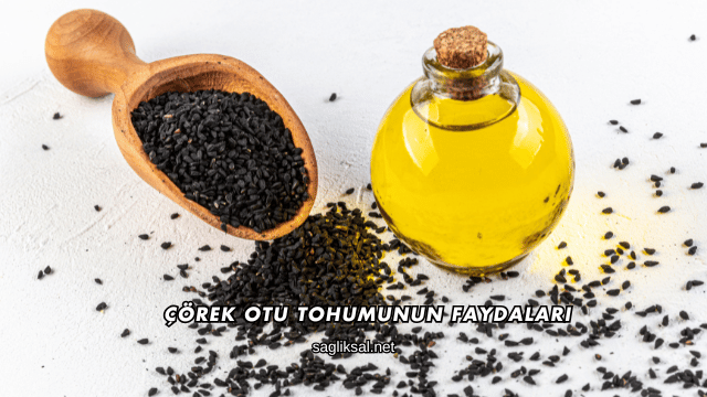Çörek Otu Tohumunun Faydaları