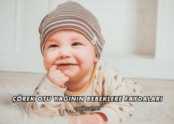 Çörek Otu Yağının Bebeklere Faydaları