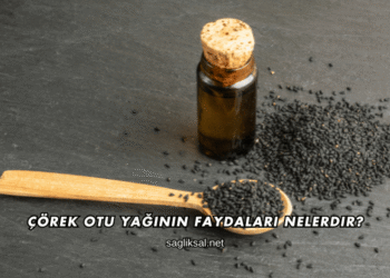 Çörek Otu Yağının Faydaları Nelerdir?