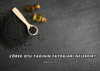 Çörek Otu Yağının Faydaları Nelerdir?