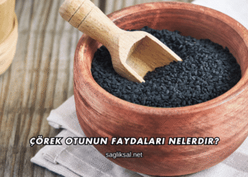 Çörek Otunun Faydaları Nelerdir?