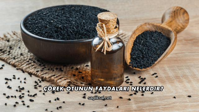 Çörek Otunun Faydaları Nelerdir?