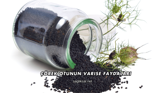 Çörek Otunun Varise Faydaları