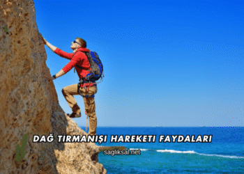 Dağ Tırmanışı Hareketi Faydaları