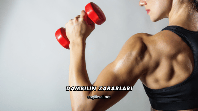 Dambılın Zararları