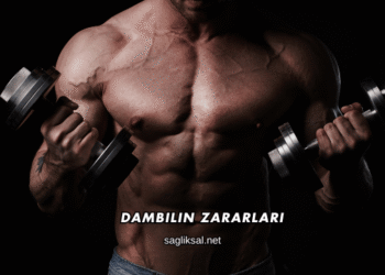 Dambılın Zararları