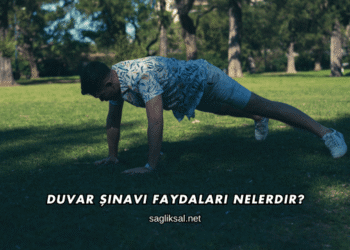 Duvar Şınavı Faydaları Nelerdir?