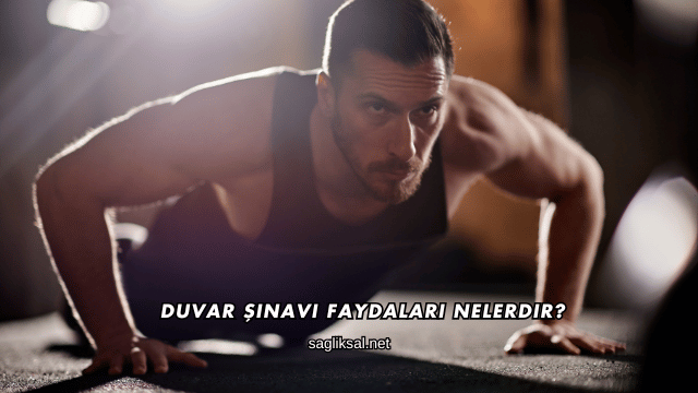 Duvar Şınavı Faydaları Nelerdir?