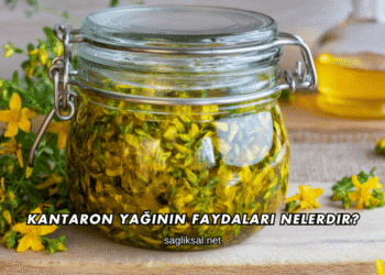 Kantaron Yağının Faydaları Nelerdir?