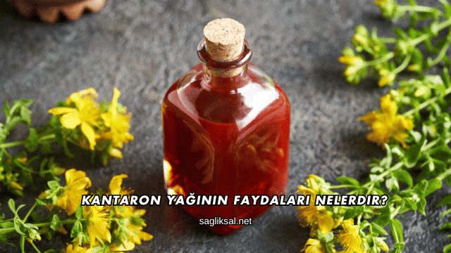 Kantaron Yağının Faydaları Nelerdir?