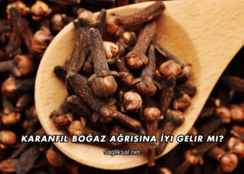 Karanfil Boğaz Ağrısına İyi Gelir mi?
