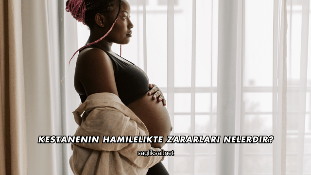 Kestanenin Hamilelikte Zararları Nelerdir?