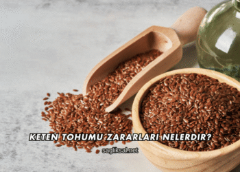 Keten Tohumu Zararları Nelerdir?