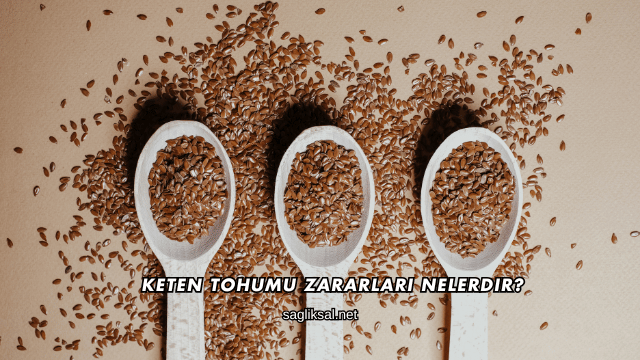 Keten Tohumu Zararları Nelerdir?