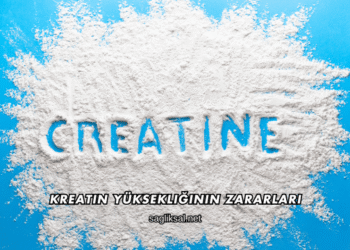 Kreatin Yüksekliğinin Zararları