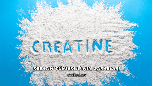 Kreatin Yüksekliğinin Zararları