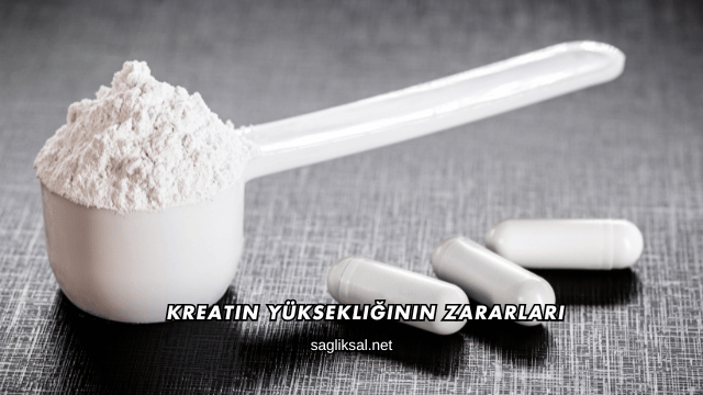 Kreatin Yüksekliğinin Zararları