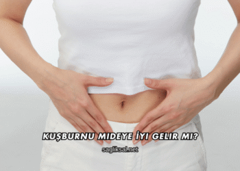 Kuşburnu Mideye İyi Gelir mi?