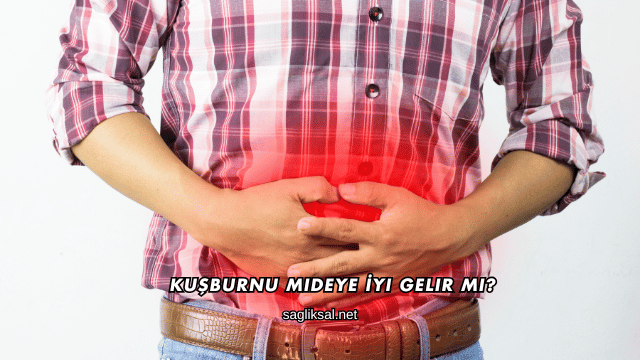 Kuşburnu Mideye İyi Gelir mi?