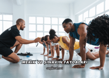 Mekik ve Şınavın Faydaları
