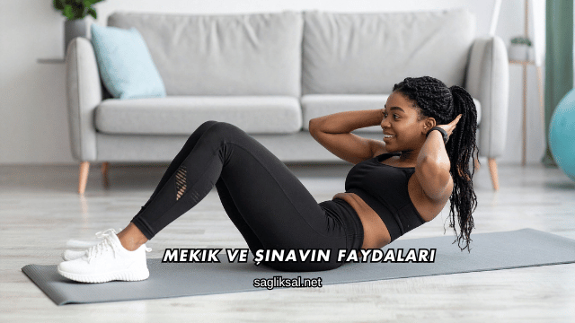 Mekik ve Şınavın Faydaları