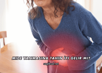 Mide Yanmasına Tahin İyi Gelir mi?