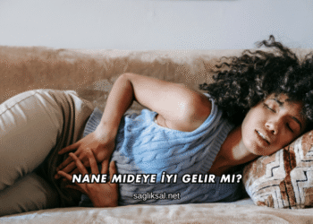 Nane Mideye İyi Gelir mi?