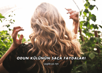 Odun Külünün Saça Faydaları