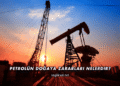 Petrolün Doğaya Zararları Nelerdir?